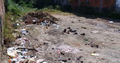 Terreno da prefeitura no Centro de Abrantes vira depósito de lixo por falta de ação do governo municipal 1