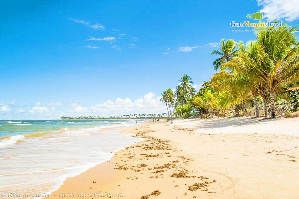 Conheça a praia de Itacimirim no Litoral Norte 2