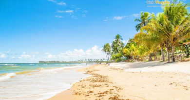 Conheça a praia de Itacimirim no Litoral Norte 3