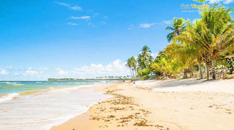 Conheça a praia de Itacimirim no Litoral Norte 1