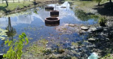 Fonte do Buraquinho um monumento esquecido que precisa ser abraçado pela comunidade 3