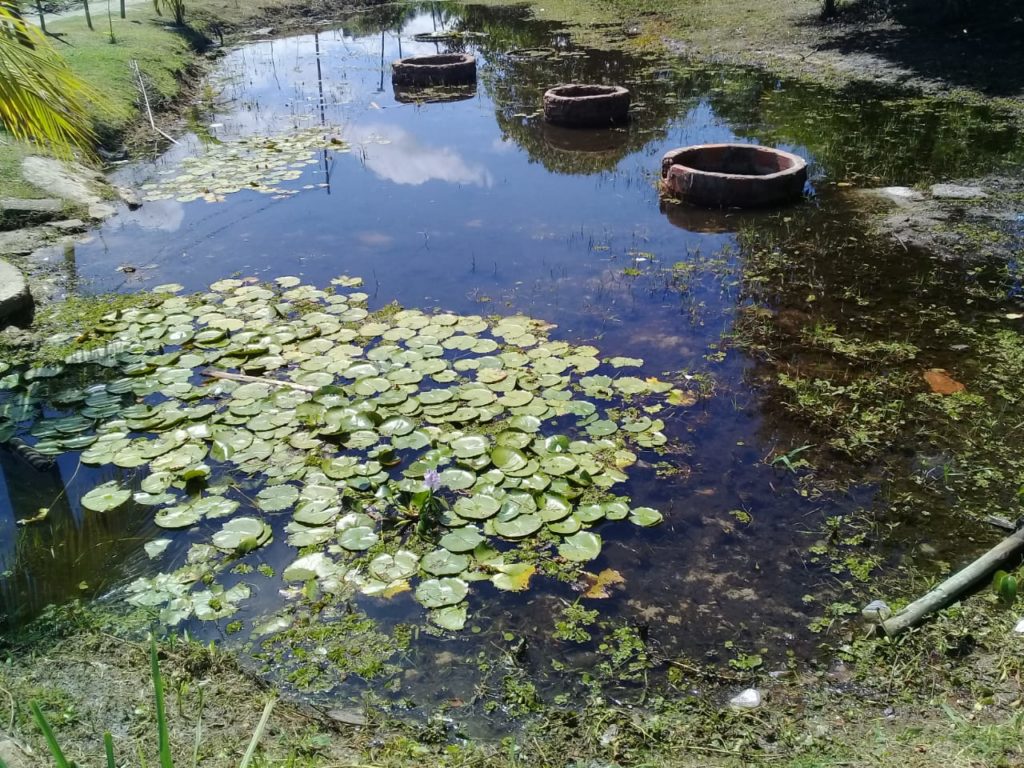 Distrito de Abrantes convoca a população para discutir o meio ambiente e preservação de sua história 1