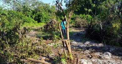 Moradores da Rua Paraty em Arembepe denunciam devastação de área verde 4