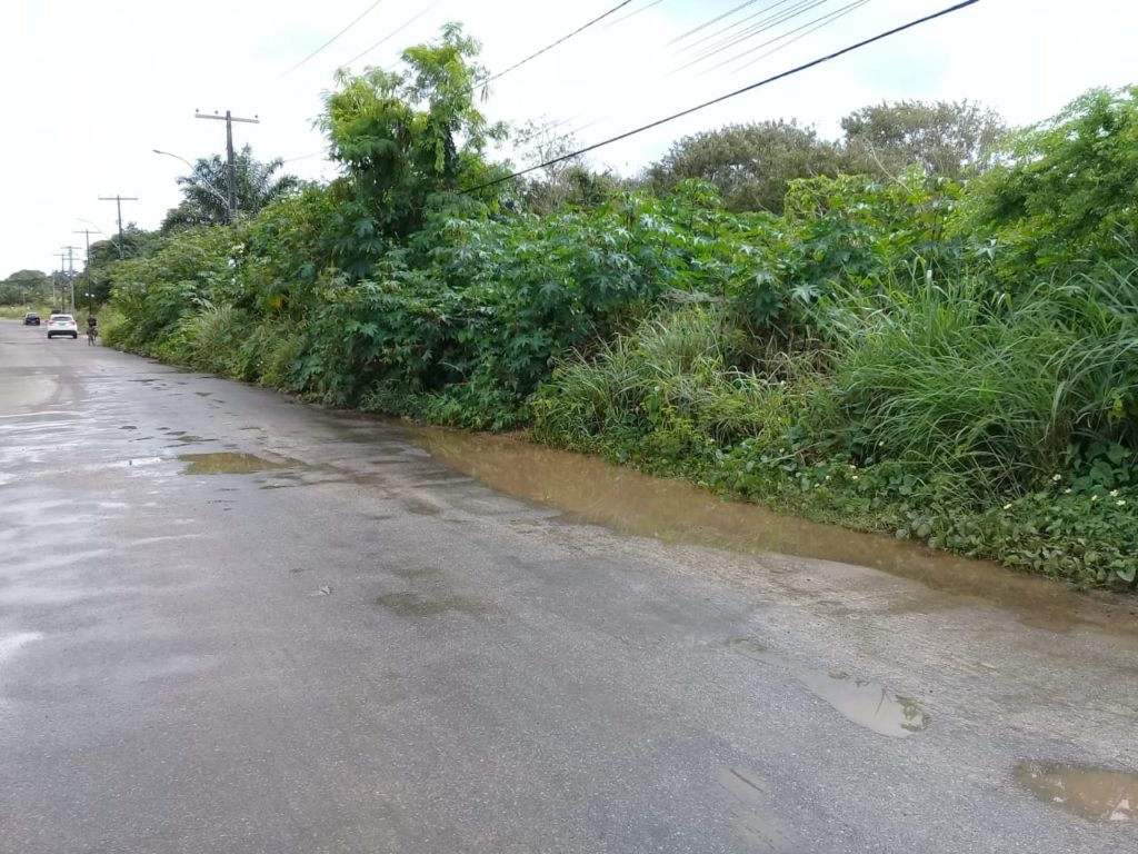 Moradores da Via Parque denunciam a falta de infraestrutura no local 1