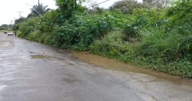 Moradores da Via Parque denunciam a falta de infraestrutura no local 4