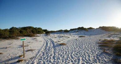 Prefeitura de Camaçari protocola PL na Câmara que pede implantação do Parque das Dunas de Abrantes e Jauá 2