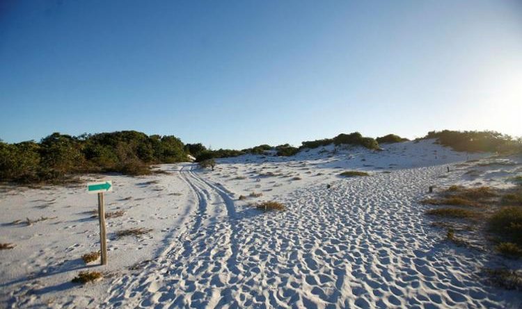 Prefeitura de Camaçari protocola PL na Câmara que pede implantação do Parque das Dunas de Abrantes e Jauá 1