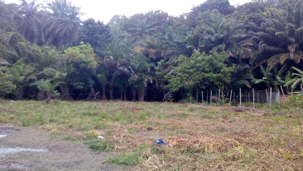Moradores do Buraquinho denunciam repressão de grupo que tentam ocupar área de preservação 1