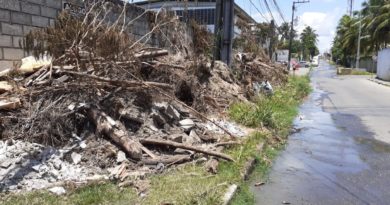 Rua Itagibá em Lauro de Freitas se encontra em completo abandono 5