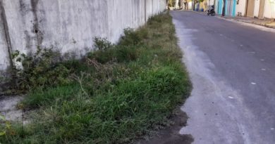 Muito lixo e mato tomando a calçada é a decoração de Natal da Rua João da Mata em Abrantes 4