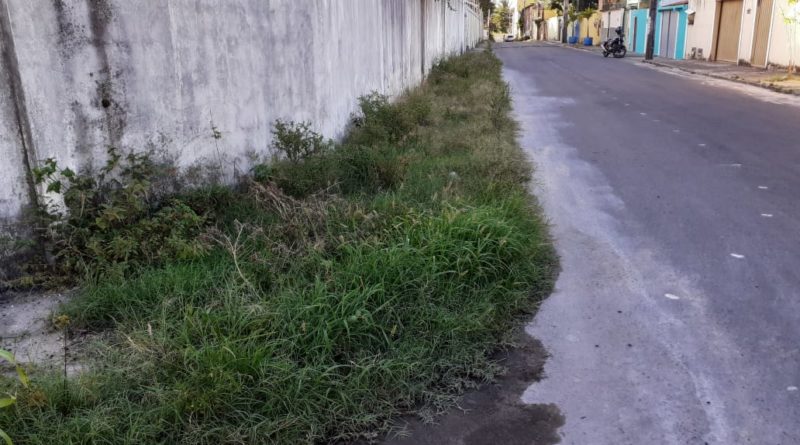 Muito lixo e mato tomando a calçada é a decoração de Natal da Rua João da Mata em Abrantes 1