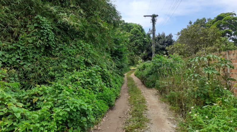 Moradores do Loteamento Chácaras Aldeias de Abrantes cobram melhorias na infraestrutura da localidade 1