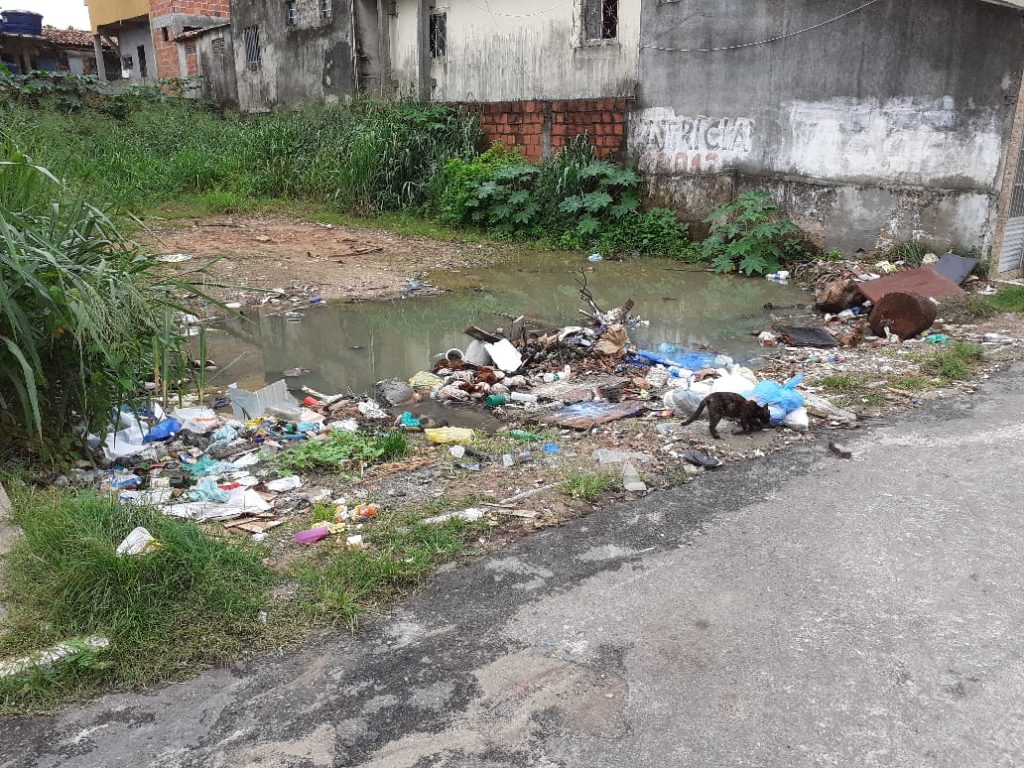 Terreno no Centro de Vila de Abrantes vira depósito de lixo e criatório de mosquitos 1