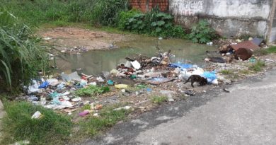 Terreno no Centro de Vila de Abrantes vira depósito de lixo e criatório de mosquitos 4