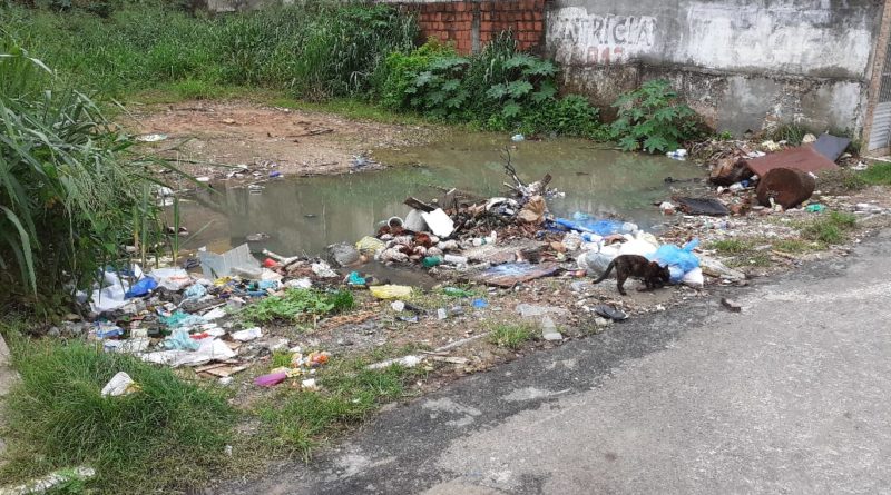 Terreno no Centro de Vila de Abrantes vira depósito de lixo e criatório de mosquitos 1