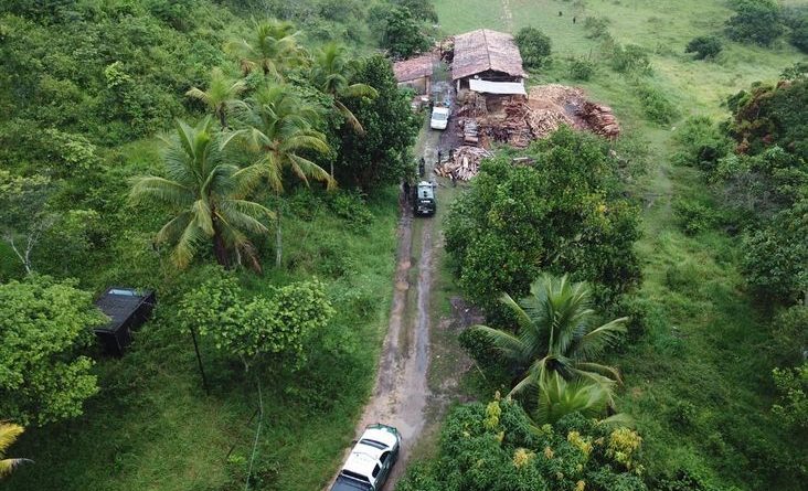 Polícia Ambiental desarticula serraria e carvoaria ilegais em Pojuca 1