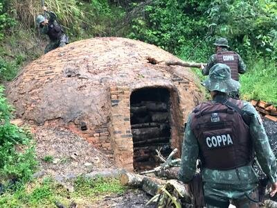 Polícia Ambiental desarticula serraria e carvoaria ilegais em Pojuca 2