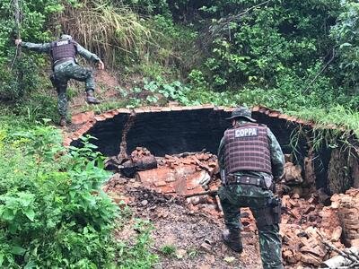 Polícia Ambiental desarticula serraria e carvoaria ilegais em Pojuca 3