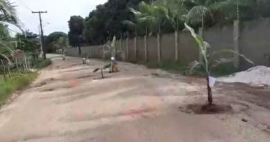 Moradores da Estrada Velha de Monte Gordo fazem protesto plantando bananeiras nos buracos da via 4