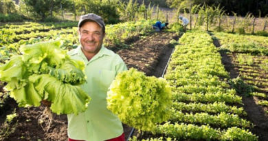 Cinco projetos agrícolas de Mata de São João concorrem ao Bahia Produtiva 5