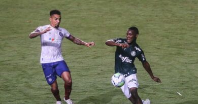 Bahia e Palmeiras empatam pela sexta rodada do Brasileirão 2