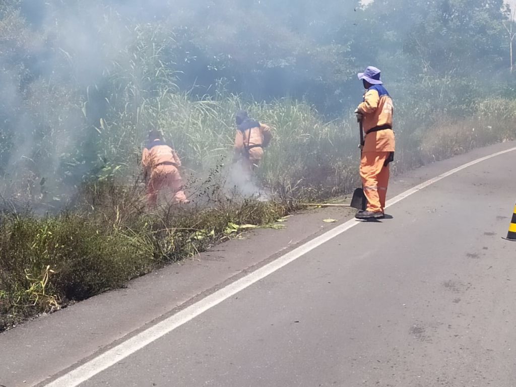Focos de incêndios tomam vegetação em Camaçari 1