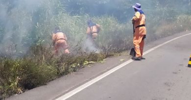 Focos de incêndios tomam vegetação em Camaçari 4