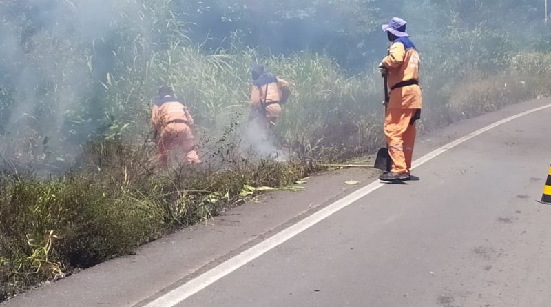 Focos de incêndios tomam vegetação em Camaçari 1