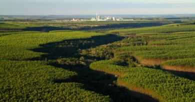 Campanha para proteção do Anel Florestal do Polo de Camaçari será lançada durante Fórum de Sustentabilidade 2