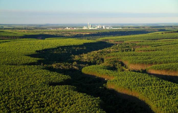 Campanha para proteção do Anel Florestal do Polo de Camaçari será lançada durante Fórum de Sustentabilidade 1