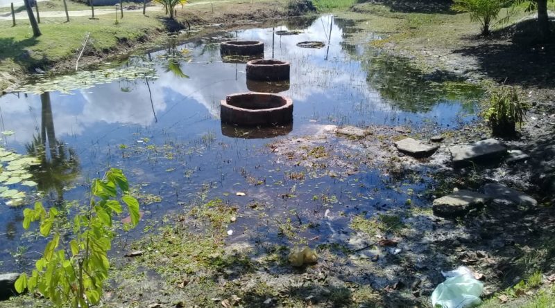 Moradores de Abrantes questionam pontos do projeto de revitalização da Fonte do Buraquinho 1