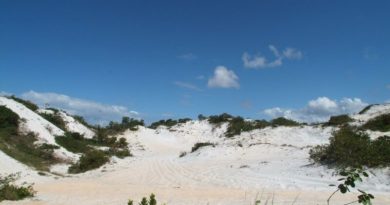 Parque das Dunas de Abrantes vira tema de audiência pública na Câmara na próxima sexta (17) 4