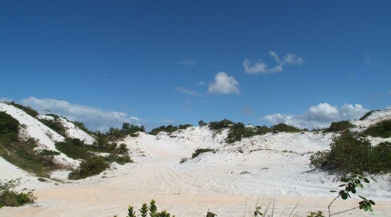 Parque das Dunas de Abrantes vira tema de audiência pública na Câmara na próxima sexta (17) 1