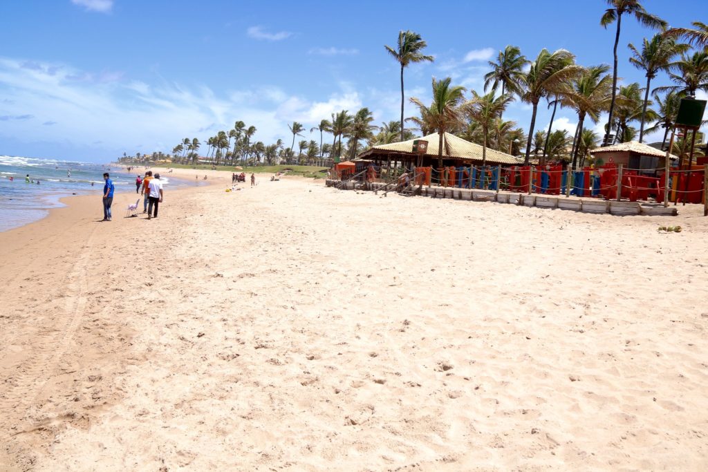 Voluntários celebram o Dia Mundial da Limpeza com ação nas praias de Lauro de Freitas 1