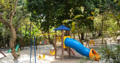 Parque Ecológico de Lauro de Freitas reabre para visitação do público na quinta-feira (16) 2