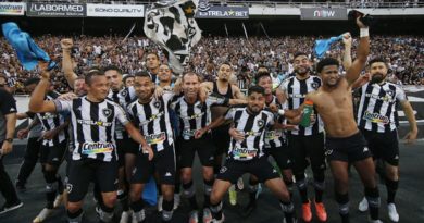 Botafogo vence o Brasil de Pelotas e conquista título da Série B 2021 3