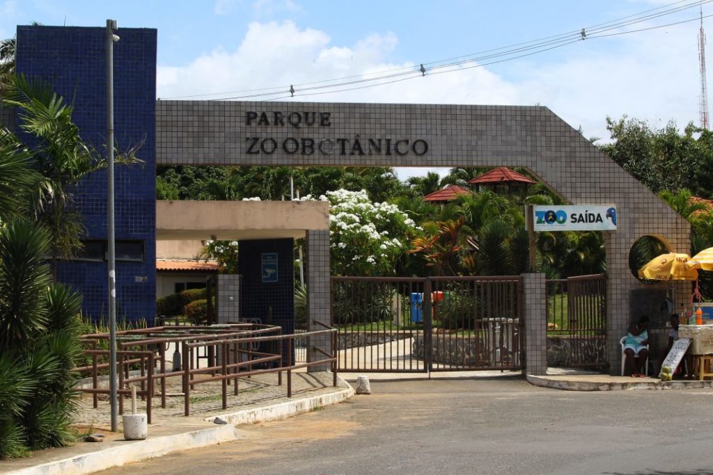 Em processo de privatização, Zoológico de Salvador passará a cobrar por visitação 1