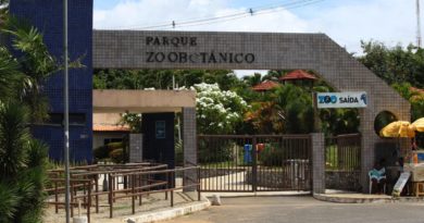 Governo do Estado inicia audiências públicas para privatização do Zoológico de Salvador, Parques de Sete Passagens e Serra do Conduru 3