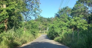 Mato toma conta da estrada de acesso a comunidade Quilombola da Cordoaria e moradores reclamam do abandono 3