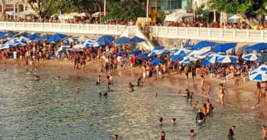 Policiais pedem que banhistas evitem banho de mar no Porto da Barra, após aparição de peixe com características de tubarão 2