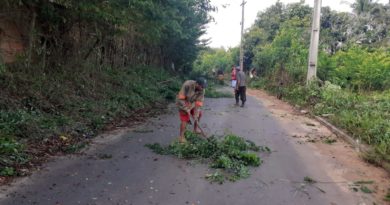 Moradores da região de Capivara, realizam mutirão de limpeza para desobstruir via tomada pelo mato 4