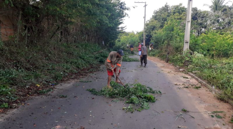 Moradores da região de Capivara, realizam mutirão de limpeza para desobstruir via tomada pelo mato 1