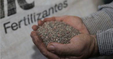 Rússia recomenda suspensão de exportação de fertilizantes; medida afeta o Brasil 6