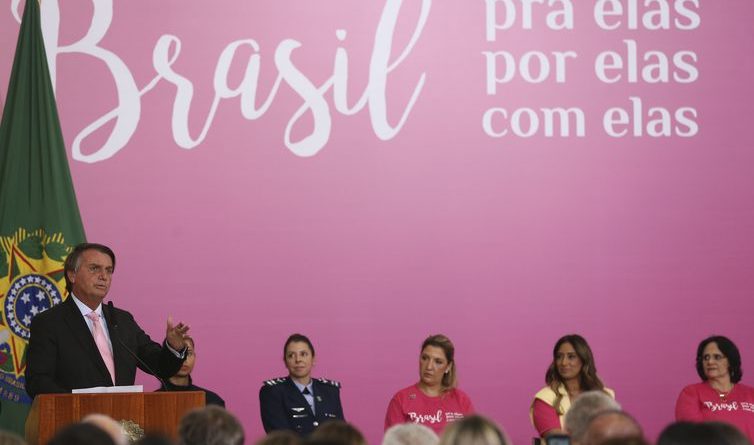 Governo lança programas de proteção e incentivo às mulheres 1