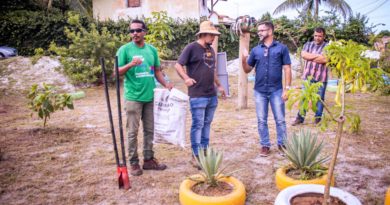 Sedur realiza plantio simbólico de 10 mudas de pau-brasil na Orla de Camaçari 2