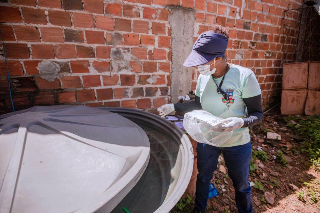 Sesau divulga balanço com três óbitos suspeitos por dengue hemorrágica em Camaçari 1