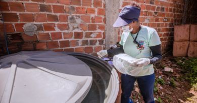 Sesau divulga balanço com três óbitos suspeitos por dengue hemorrágica em Camaçari 4