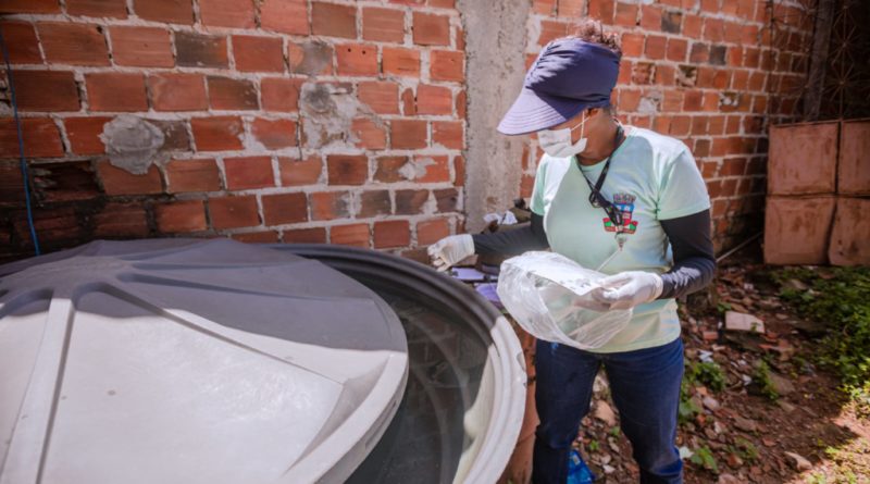 Sesau divulga balanço com três óbitos suspeitos por dengue hemorrágica em Camaçari 1