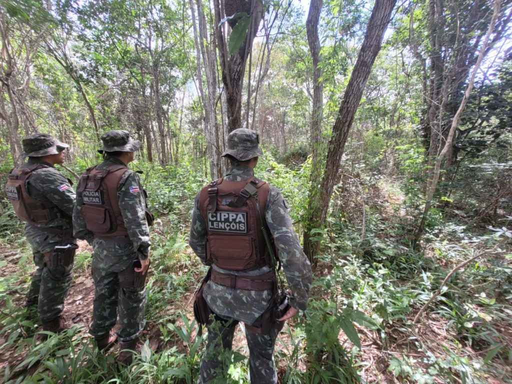 Polícia Ambiental já resgatou 1.987 animais silvestres na região de Lenções 1