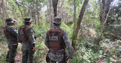 Polícia Ambiental já resgatou 1.987 animais silvestres na região de Lenções 5